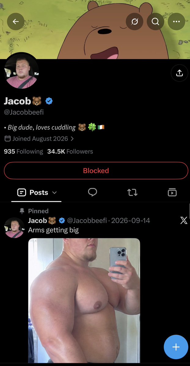 BeefyCanuck's tweet photo. Just a reminder these four either are fully ai, and/or use ai to deceive and scam folks.

If there’s anyone else that you know of that doesn’t disclose ai usage send me a message.

The first two are ran by the same person. https://t.co/uRSAHqZfsE