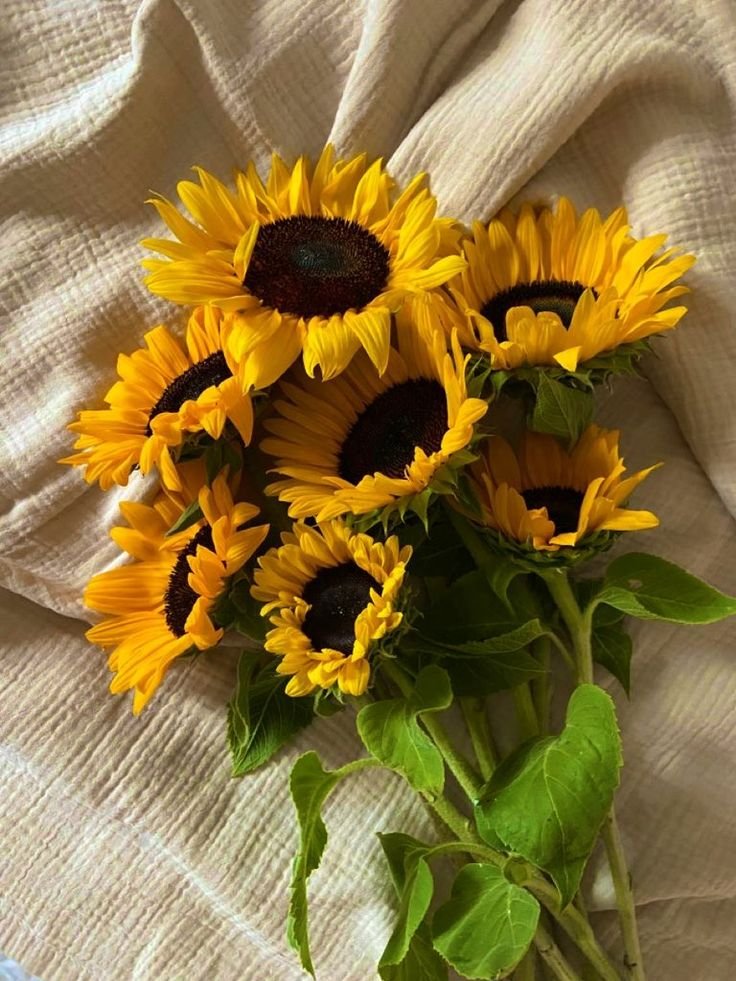 sunfLOUwer__ tweet picture