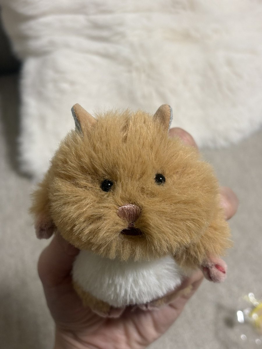 nyanwag's tweet photo. @r2e2chp 流石に目が見えないのは可哀想だからトリミングしたよ https://t.co/sDWDWnvEqi
