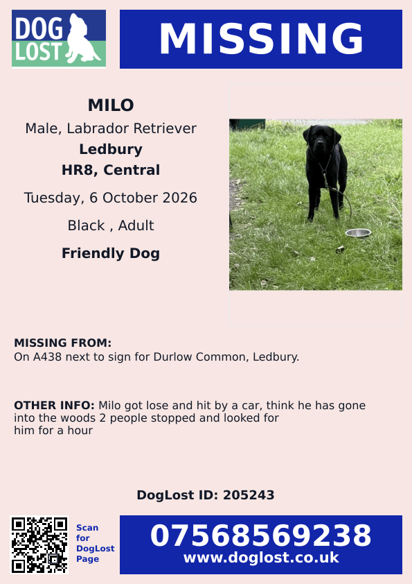 millypod1's tweet photo. 🆘6 OCT 2026 #Lost Milo #ScanMe
Black Labrador Retriever Male
On #A438 next to sign for Durlow Common #Ledbury #HR8 #Herefordshire
Milo got loose and hit by a car, think he has gone into the woods
https://t.co/mI2oUfXvWK https://t.co/WxCaK3k3w7