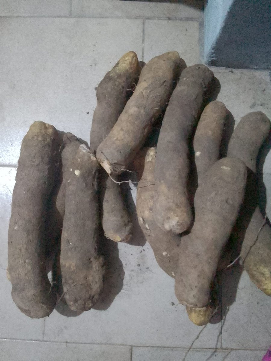 GbemisolD's tweet photo. Got ten tubers of yam for #5,500!

Mo wa shocked o😂 https://t.co/L1PnP5qICe