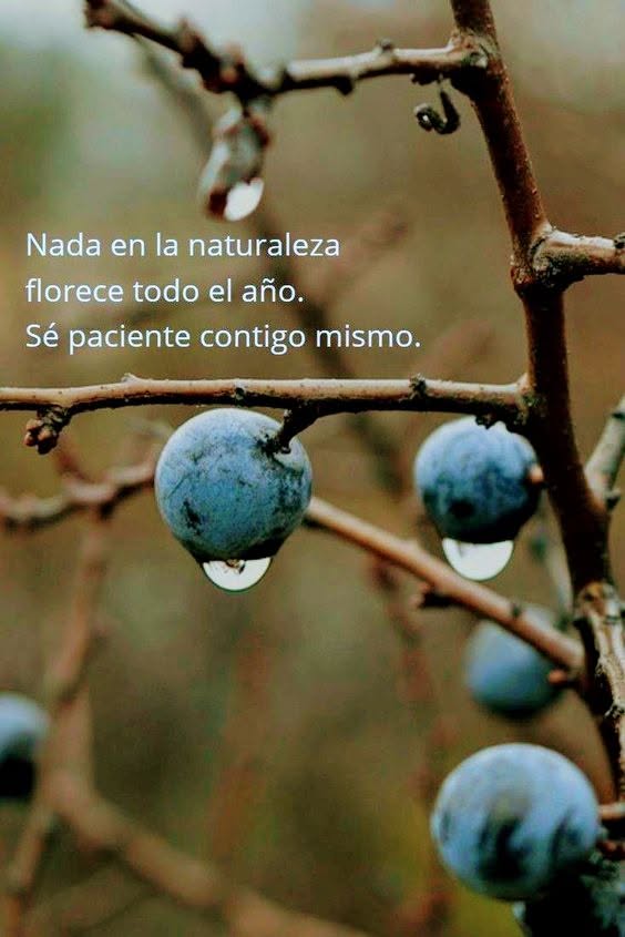 avanzandoacasa's tweet photo. https://t.co/jZmmPPWKIm
