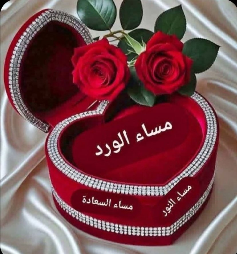 RadwanHamz77355's tweet photo. @GwSWt7POqm8J2mu https://t.co/oR6lfaRaxc