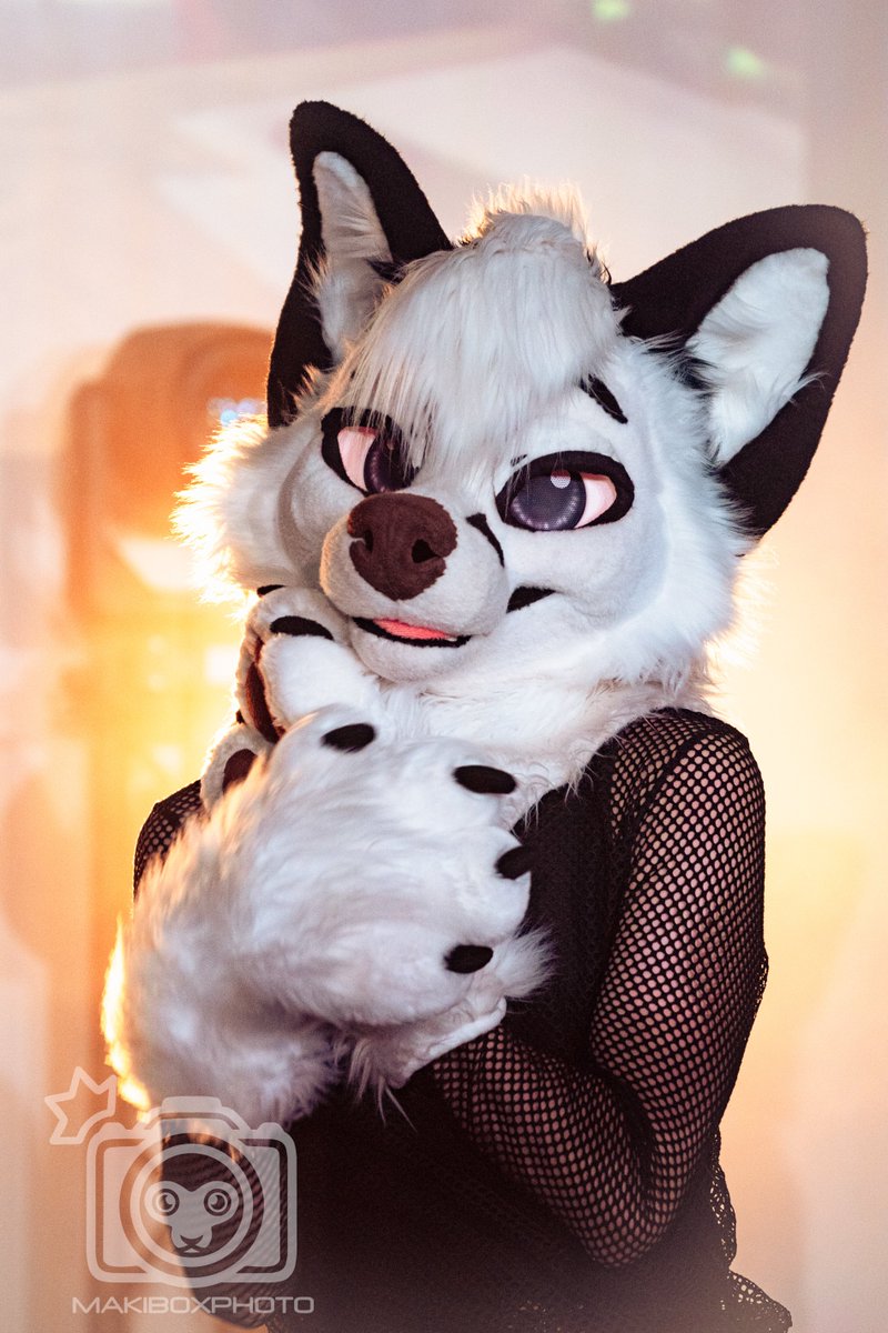 WhoYouLeastExp_'s tweet photo. Oh no, another white hair... I'm getting old 😵
From today I have to add a year to all my biographies 🎂

📷 makiboxphoto

#furry #fursuit #furryfandom #fursuiter https://t.co/Da9e9QkkKT
