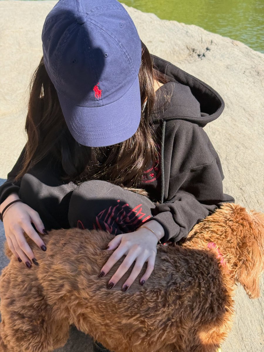 dogfomar's tweet photo. 강아♡강아 https://t.co/mXR2xmGHIt
