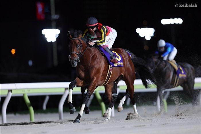 keibalab's tweet photo. 【銀の風に乗って】
26年ジャパンダートクラシック1着
シルバーレシオ
Silver Ratio
(牡3、栗東・野中賢二厩舎) 横山武史騎手
父ルヴァンスレーヴ
母シルバーポジー
母父クロフネ
近親トゥザヴィクトリー
#ジャパンダートクラシック #シルバーレシオ #横山武史
https://t.co/WHzMyF9opw https://t.co/2vo7eIW2Sq