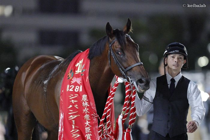 keibalab's tweet photo. 【銀の風に乗って】
26年ジャパンダートクラシック1着
シルバーレシオ
Silver Ratio
(牡3、栗東・野中賢二厩舎) 横山武史騎手
父ルヴァンスレーヴ
母シルバーポジー
母父クロフネ
近親トゥザヴィクトリー
#ジャパンダートクラシック #シルバーレシオ #横山武史
https://t.co/WHzMyF9opw https://t.co/2vo7eIW2Sq