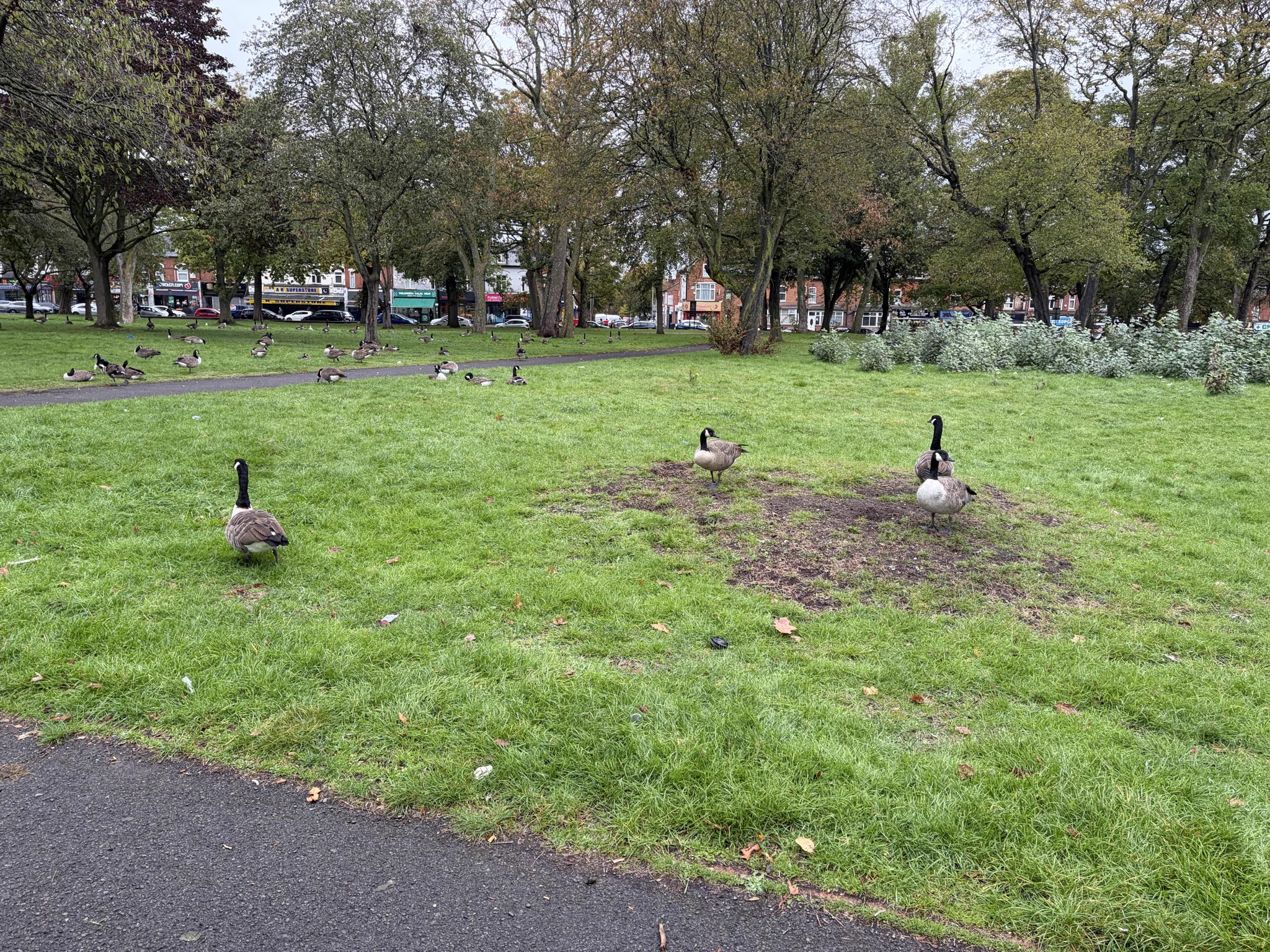 Harry - 🏴󠁧󠁢󠁥󠁮󠁧󠁿 🇬🇧 on X: 