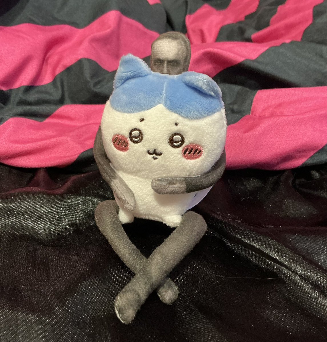 hedwigearwig's tweet photo. Easterman you are so cute https://t.co/paDwJNxjVQ