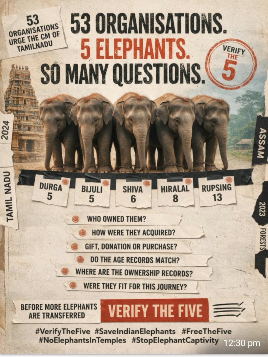 Seal4n's tweet photo. #SaveIndianElephant
#FreetheFive
#VerifytheFive
#StopElephantCaptivity https://t.co/K07XnWNDF5