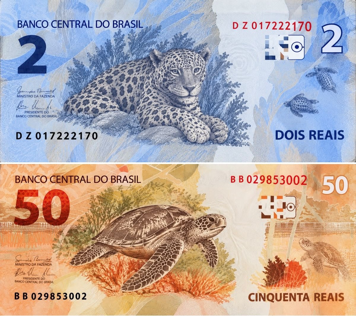 opropriokogos's tweet photo. Irei apresentar a equipe econômica do @FlavioBolsonaro uma proposta para melhor representar o Brasil nas células do Real:

Vamos colocar a oncinha na nota de 2 reais em memória aos incríveis 2% alcançados pelo Chico Linguiça.

A tartaruga marinha não será prejudicada e irá para a nota de 50.