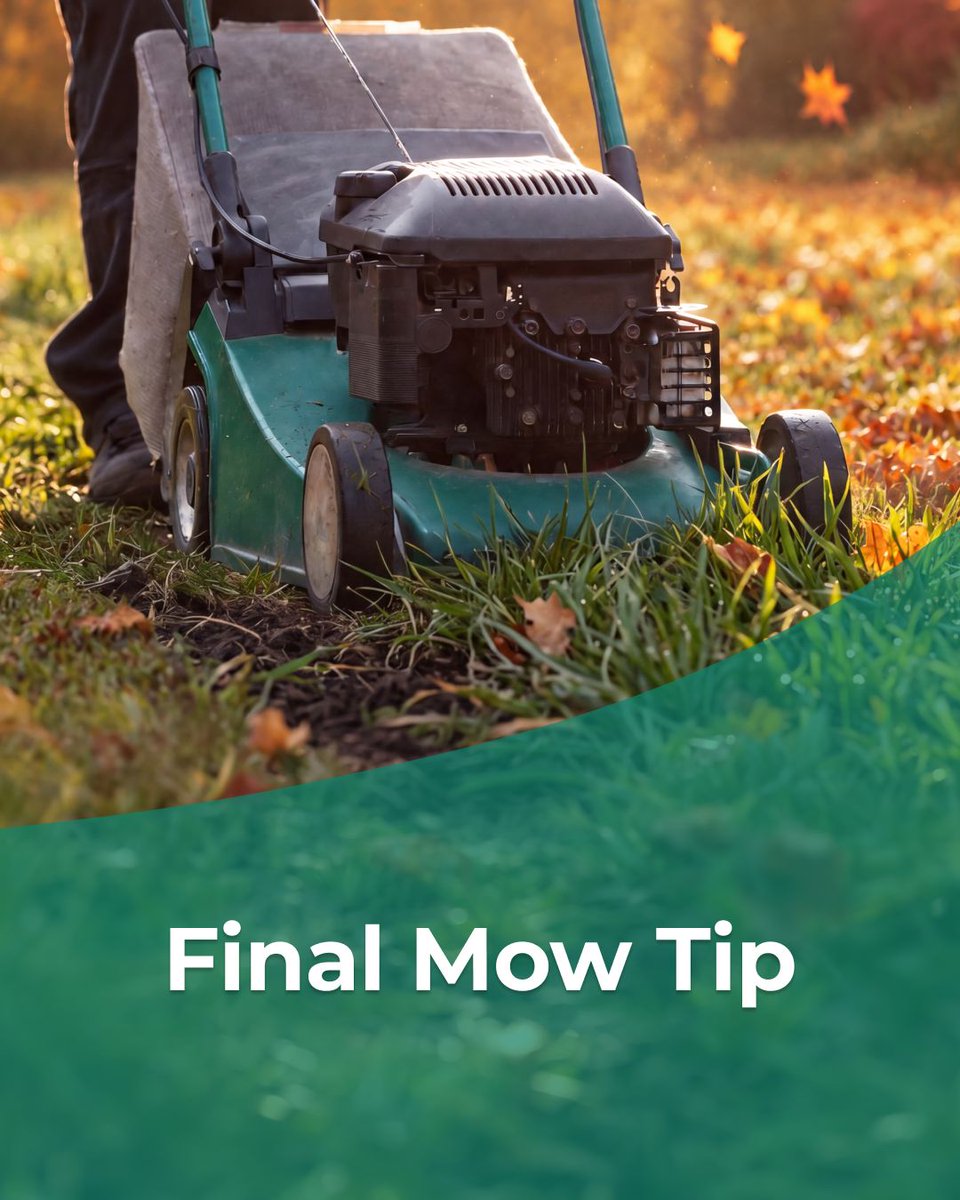 willowizerinc's tweet photo. Fall lawn tip: your final mow of the season should be slightly shorter than summer height, enough to prevent matting under snow, not scalped.
https://t.co/hJuGprCcC8
#WillowLandscape #PrideInProperty #WillowMaintains #FallLawnCare #FallCleanup #OntarioLawns #LawnCareExperts https://t.co/A1m04bSzKW