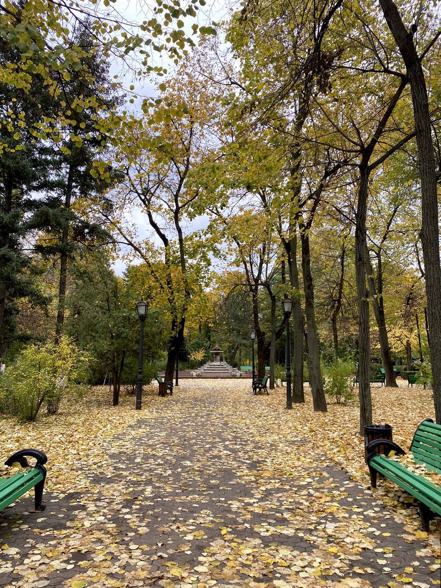 IonCeban2u's tweet photo. 🎵🌆 O plimbare prin Chișinău, muzica în căști și câteva minute fără grabă. Uneori atât ai nevoie.
#Chisinau #Music https://t.co/yQLmyM6Shl