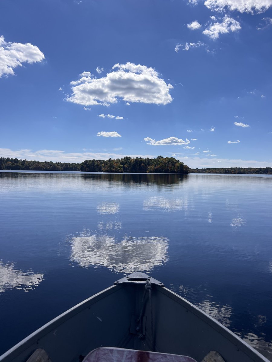 AngieYourBeaut1's tweet photo. I was just thinking this very thing while out on the local reservoir last Saturday. Hubby had a license, I didn’t. So I took pictures. https://t.co/3bKPXt8XzJ