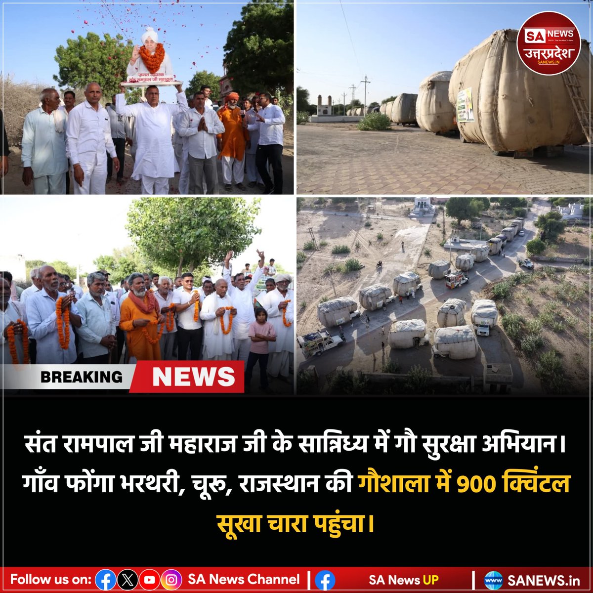 SANewsUP's tweet photo. जगतगुरु तत्वदर्शी संत रामपाल जी महाराज जी के सान्निध्य में गौ सुरक्षा अभियान के तहत राजस्थान के चूरू ��िले के गाँव फोंगा भरथरी की गौशाला में 900 क्विंटल सूखा चारा पहुंचाया गया। इस पहल से गौवंश के लिए चारे की उपलब्धता सुनिश्चित करने में सहयोग मिला।
#SantRampalJiMaharaj 
#sanewsup https://t.co/2JRfj6Y8UL