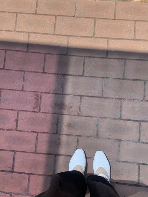 S_hyoung_'s tweet photo. 계정문제로
제일 아쉬운건
연락하고 보던 사람과 연락이 끈ㄹ겨서
못보게 되는거 🥲
저 여자분 어떻게 다시 찾아 ㅠㅠ
#페티쉬 #발 #풋잡 https://t.co/uOcjc124ej