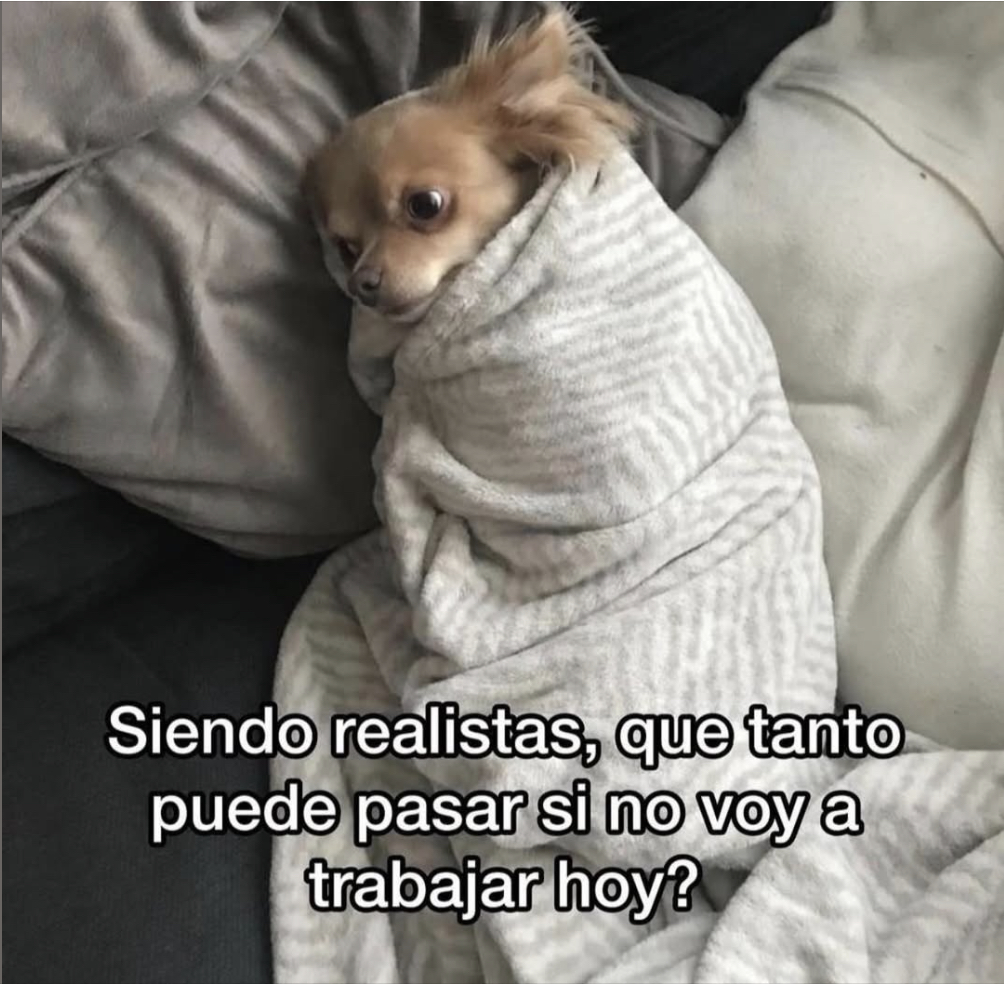 Guarromantico_'s tweet photo. Pregunta seria. https://t.co/OZlnrWR070