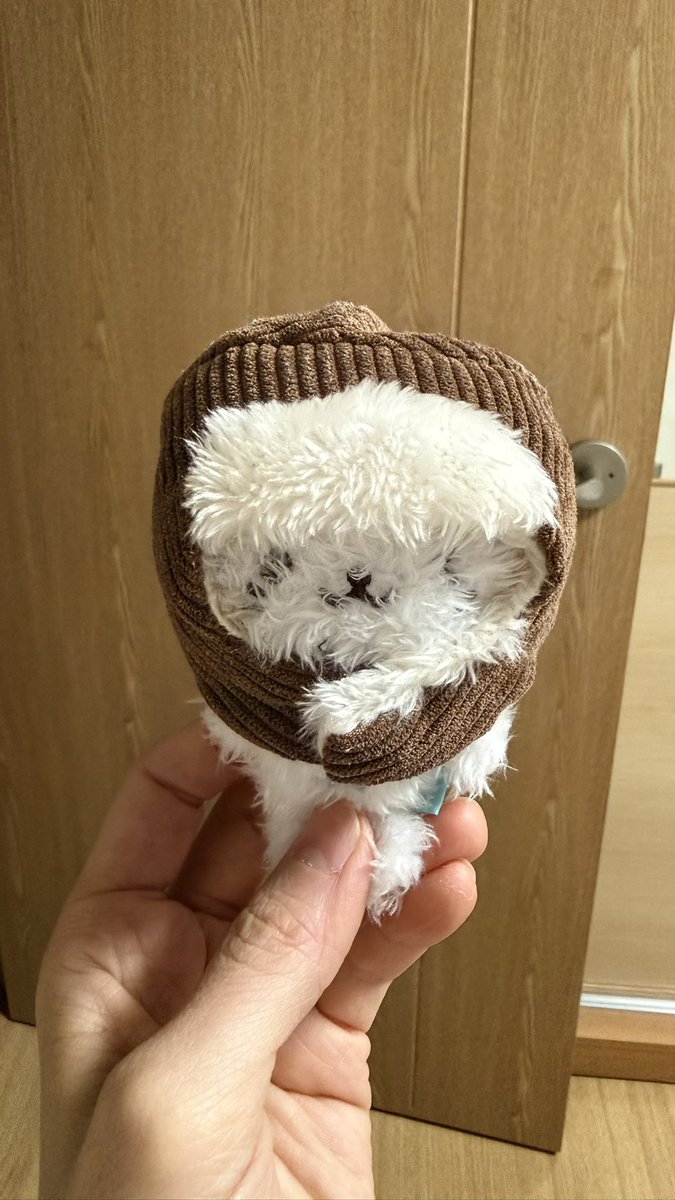 nyamkwak's tweet photo. 쿠리 씌울라고 군밤장수 모자 산건데 쿠리한테 너무 큼ㅋㅋㅋㅋㅠㅠ 모든 핏이 법냥이에게 맞춰짐ㅋㅋㅋ 퓨 https://t.co/2kjyWxIgs3
