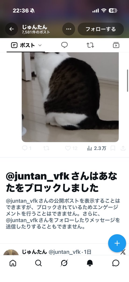 sucha_saving's tweet photo. @juntan_vfk 
じゅんたんっていう奴に正論ぶつけたらブロックして逃げられた笑
捨てゼリフを吐いてから逃げるのは流石に面白すぎる🤣🤣 https://t.co/OSae5mI780