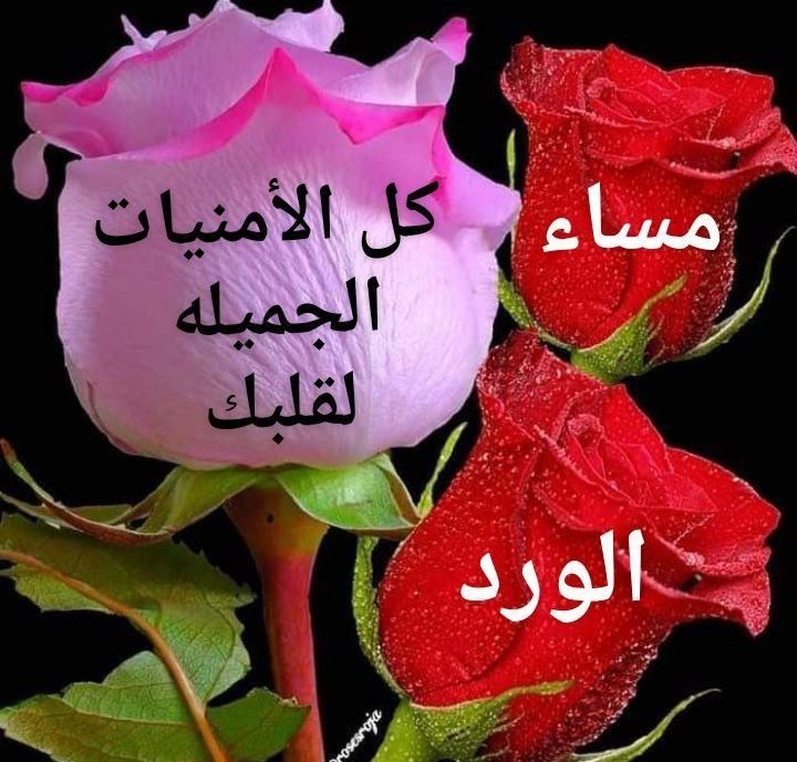 mdrbk16423331's tweet photo. @antisar99 https://t.co/ovyb6JtAYq