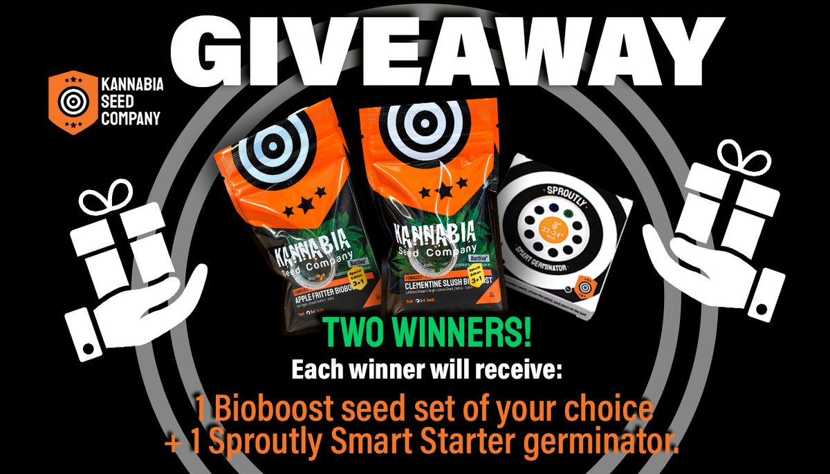 KannabiaGlobal's tweet photo. 🔥 𝗚𝗜𝗩𝗘𝗔𝗪𝗔𝗬: 𝗕𝗜𝗢𝗕𝗢𝗢𝗦𝗧 𝗖𝗢𝗠𝗕𝗢 🔥

𝟮 𝘄𝗶𝗻𝗻𝗲𝗿𝘀 will each receive an exclusive pack valued at €29 to ensure an unstoppable start to their grow:

🎁 𝗣𝗿𝗶𝘇𝗲 𝗽𝗲𝗿 𝘄𝗶𝗻𝗻𝗲𝗿: 𝟭 𝗕𝗶𝗼𝗯𝗼𝗼𝘀𝘁 𝘀𝗲𝗲𝗱 𝘀𝗲𝘁 𝗼𝗳 𝘆𝗼𝘂𝗿 𝗰𝗵𝗼𝗶𝗰𝗲 + 𝟭 𝗦𝗽𝗿𝗼𝘂𝘁𝗹𝘆 𝗦𝗺𝗮𝗿𝘁 𝗦𝘁𝗮𝗿𝘁𝗲𝗿 𝗴𝗲𝗿𝗺𝗶𝗻𝗮𝘁𝗼𝗿.

🧬 Options:
• Apple Fritter (sweet, pastry-like terpenes).
• Clementine Slush (ultra-fast citrus-diesel punch).

✨ The Bioboost Advantage: 100% organic treatment that shields roots and skyrockets nutrient uptake from day one.

𝗛𝗼𝘄 𝘁𝗼 𝗽𝗮𝗿𝘁𝗶𝗰𝗶𝗽𝗮𝘁𝗲:
1️⃣ Follow @kannabia
2️⃣ RT & Like this post
3️⃣ Comment which one you’d choose (Apple Fritter or Clementine Slush), your country, and tag a fellow grower 👥

Discover our germination and nutrition technology here:
👉 https://t.co/fat1vzrEiZ

🗓️ Winners will be announced on October 16th.