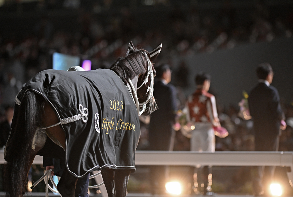 gallop_keiba's tweet photo. #ミックファイア https://t.co/tHfYmM3CWB
