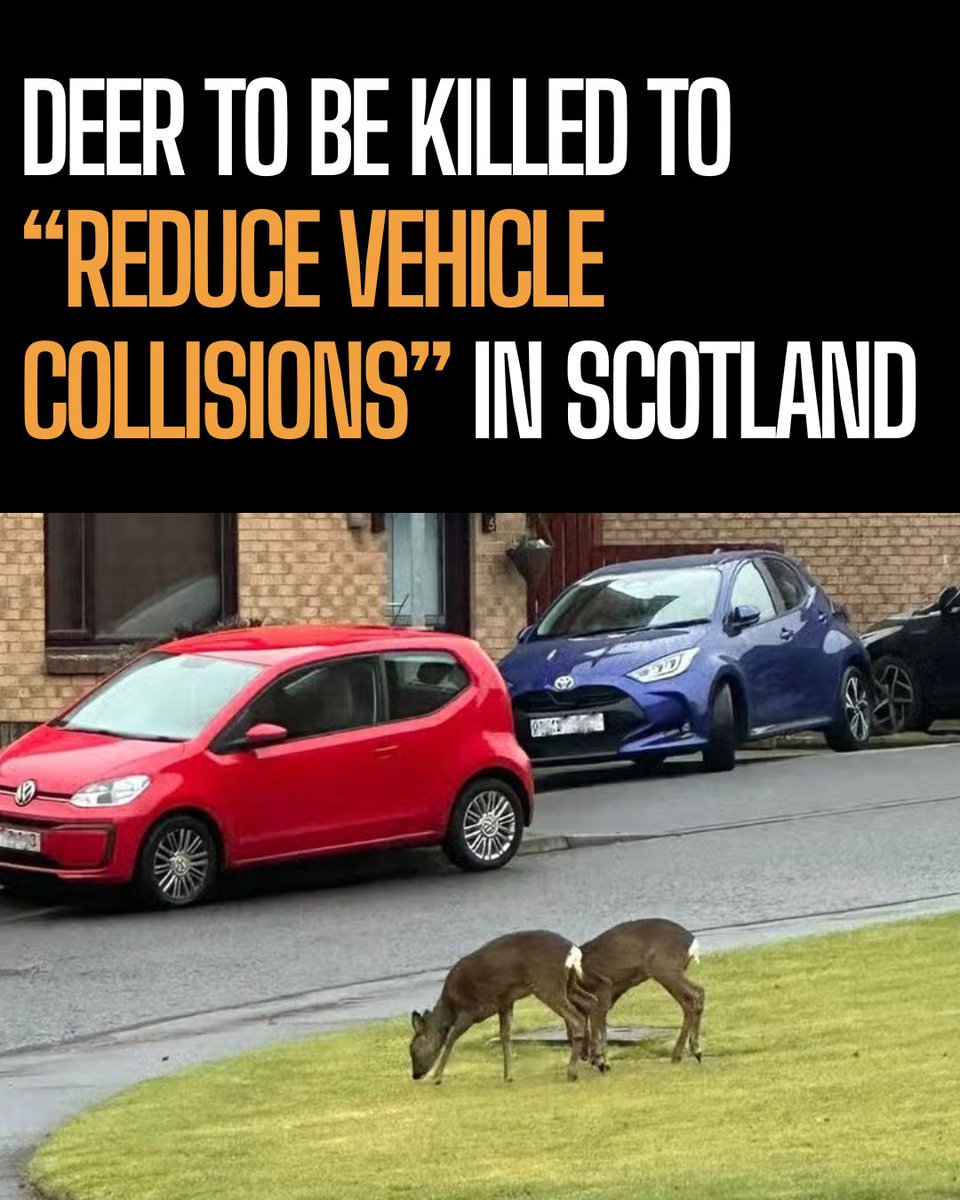 ProtectTheWild_'s tweet photo. Yet again, animals are being punished for problems we created. https://t.co/sn1K9BcTct