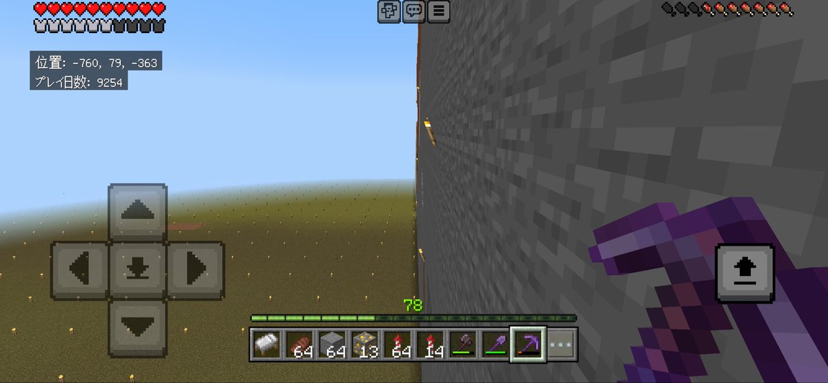 1yocFs's tweet photo. 世界を平らにするマインクラフト674日目

#マイクラ https://t.co/RDhd54PmmR