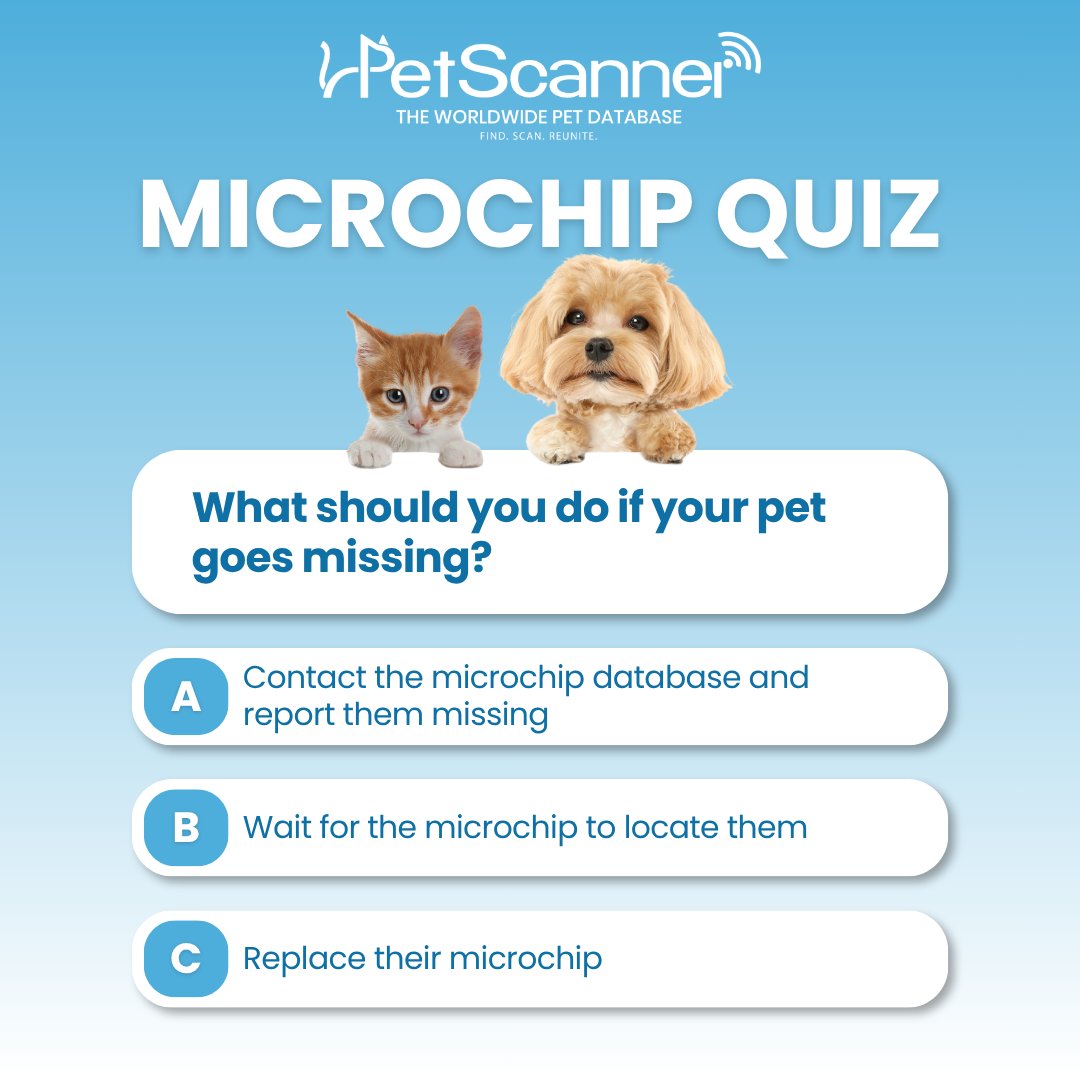 petscanner's tweet photo. What should you do if your pet goes missing? 🐾

A, B or C? Comment your answer below before checking the correct answer!

The correct answer is A. 

#PetScanner #MicrochipQuiz #PetMicrochip #LostPets #PetSafety https://t.co/f8DjMJ8RbH