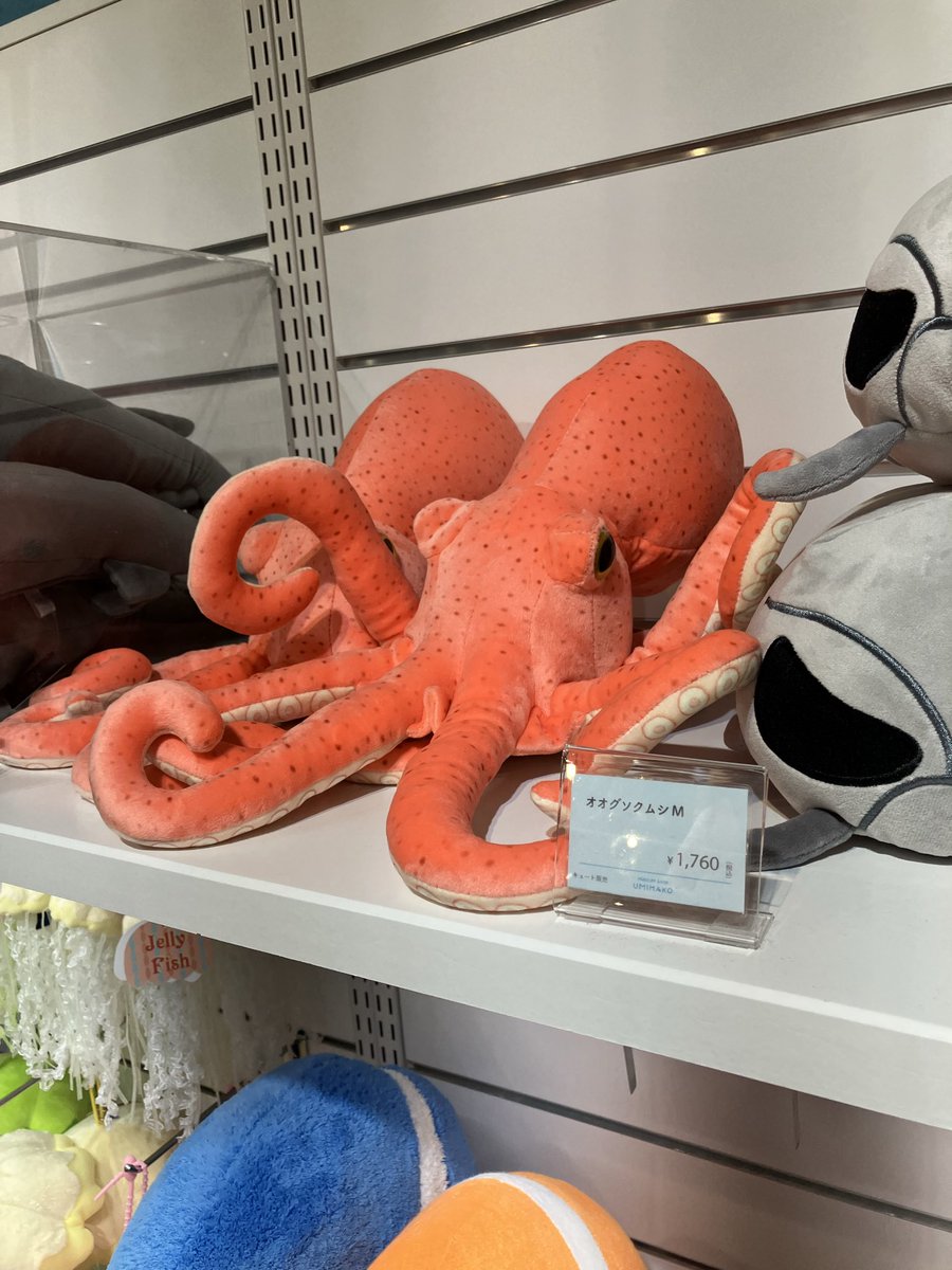 Takoguri8's tweet photo. 広島のパセーラという商業施設の7階に広島もとまち水族館があって、そこのグッズ売り場に多種多様のタコグッズがあった🐙
ノーマルタコもメンダコもどっちも豊富！
水族館に入場しなくてもグッズは買える👍🏻

由愛ちゃん推しの方は広島でライブあった時の空き時間にオススメ

#工藤由愛はタコが好き https://t.co/bqhkSpe2qH