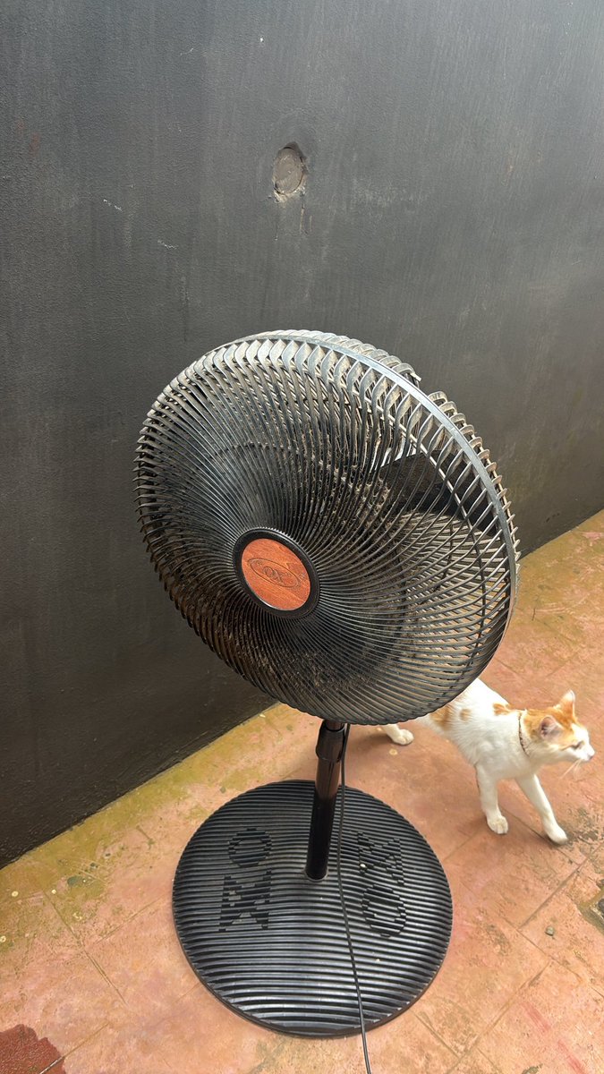 kayoflagos001's tweet photo. These type of fans are very difficult to clean. 🤦 https://t.co/ipq0t8REjl