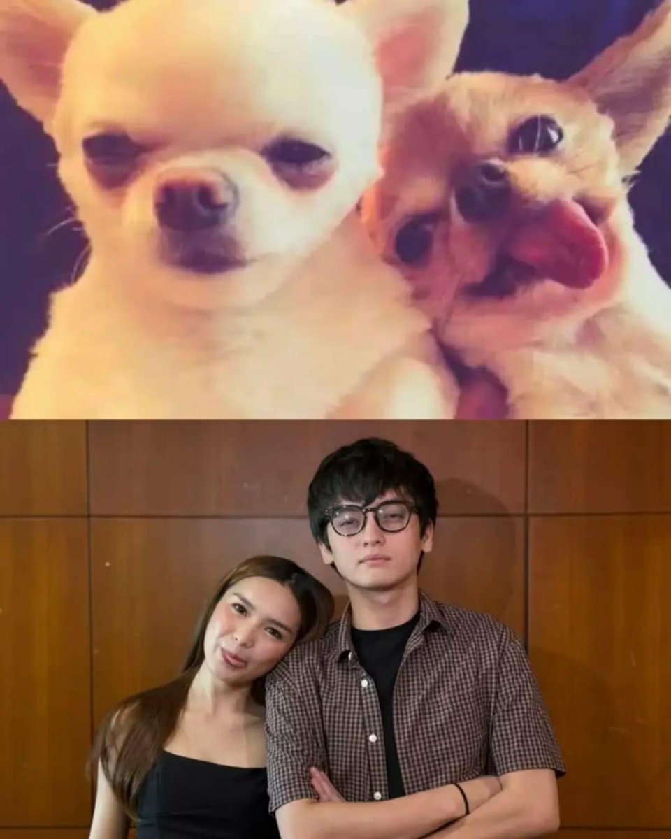 ChinGo441174488's tweet photo. Ang cute nila😘💙

#FranSeth https://t.co/KPIjUcGOWg