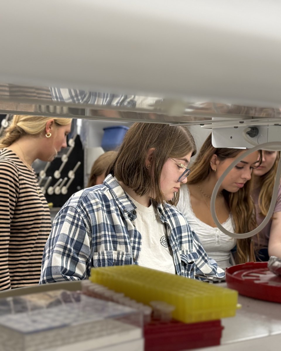 BTIscience's tweet photo. On September 29th, a group of students from BOCES New Vision Life Science program stopped by BTI to learn more about our groundbreaking plant science research and facilities. Dr. Magda Julkowska shared more about BTI’s Phenosight facility and how researchers use it within plant science research. They also learned from researchers in Dr. Silvia Restrepo and Dr. Maria Harrison’s lab to begin understanding the research taking place. The students will be able to participate in a hands-on internship experience next semester, and this field trip is one of many to help them understand life science research and potential research topics they are interested in.
 
Thank you to Alexis Davis for inviting your students to stop by, and to Dr. Julkowska, Dr. Cristina McGuire, and Lizzie Trost for taking the time to share your enthusiasm for plant science research!