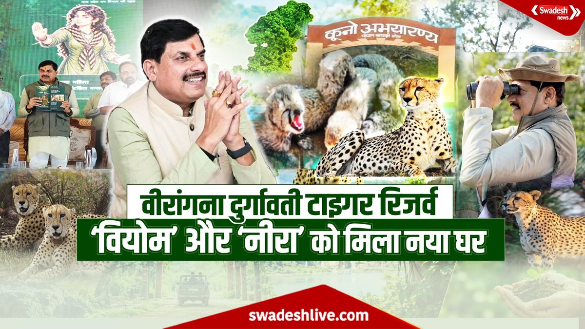 swadesh_news's tweet photo. चीतों से गुलजार होगा MP का नया जंगल, CM Mohan Yadav ने Durgavati Tiger Reserve में छोड़े 2 चीते

https://t.co/Vp0gg9AmDT

#SwadeshNews #MadhyaPradesh #MohanYadav #Cheetah #CheetahInMP #ProjectCheetah #VeeranganaDurgavatiTigerReserve #TigerReserve #Wildlife #WildlifeConservation #CheetahConservation #KunoNationalPark #MPWildlife #WildlifeTourism #EcoTourism #Sagar #MadhyaPradeshTourism #CheetahIndia
@CMMadhyaPradesh  @DrMohanYadav51 @JansamparkMP @BJP4MP