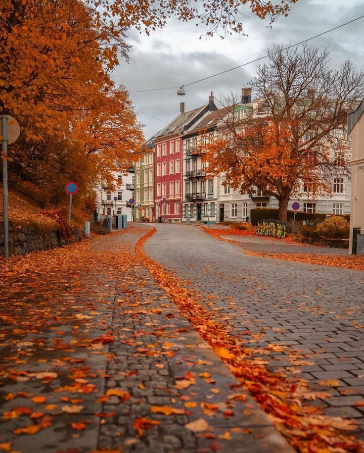 earthviewss1's tweet photo. Autumn in Bergen, Norway 🇳🇴 https://t.co/Z0k2fpm22R