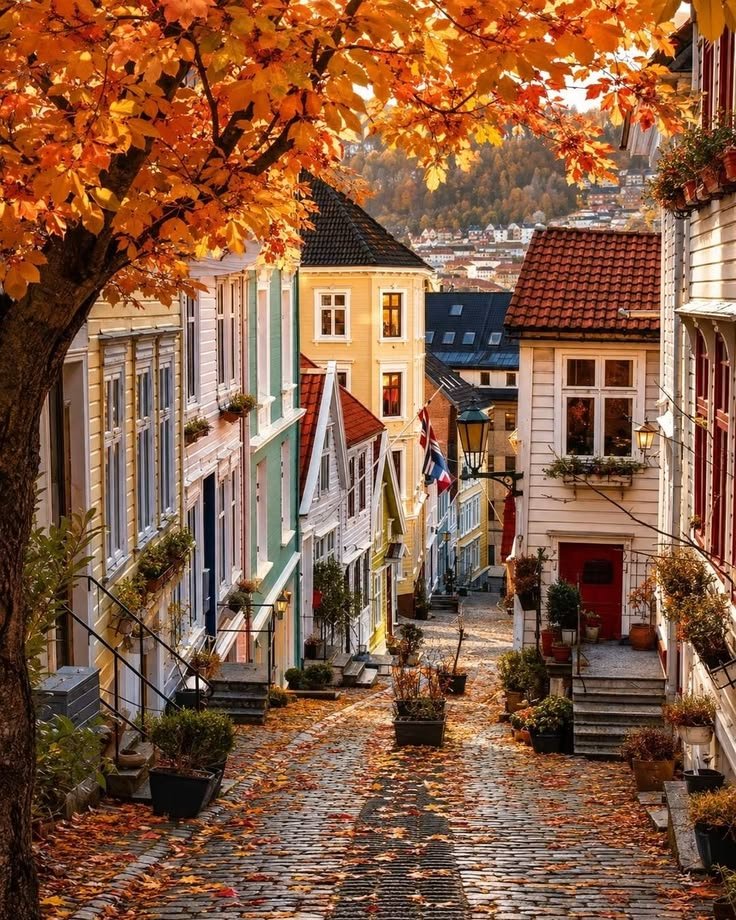 earthviewss1's tweet photo. Autumn in Bergen, Norway 🇳🇴 https://t.co/Z0k2fpm22R