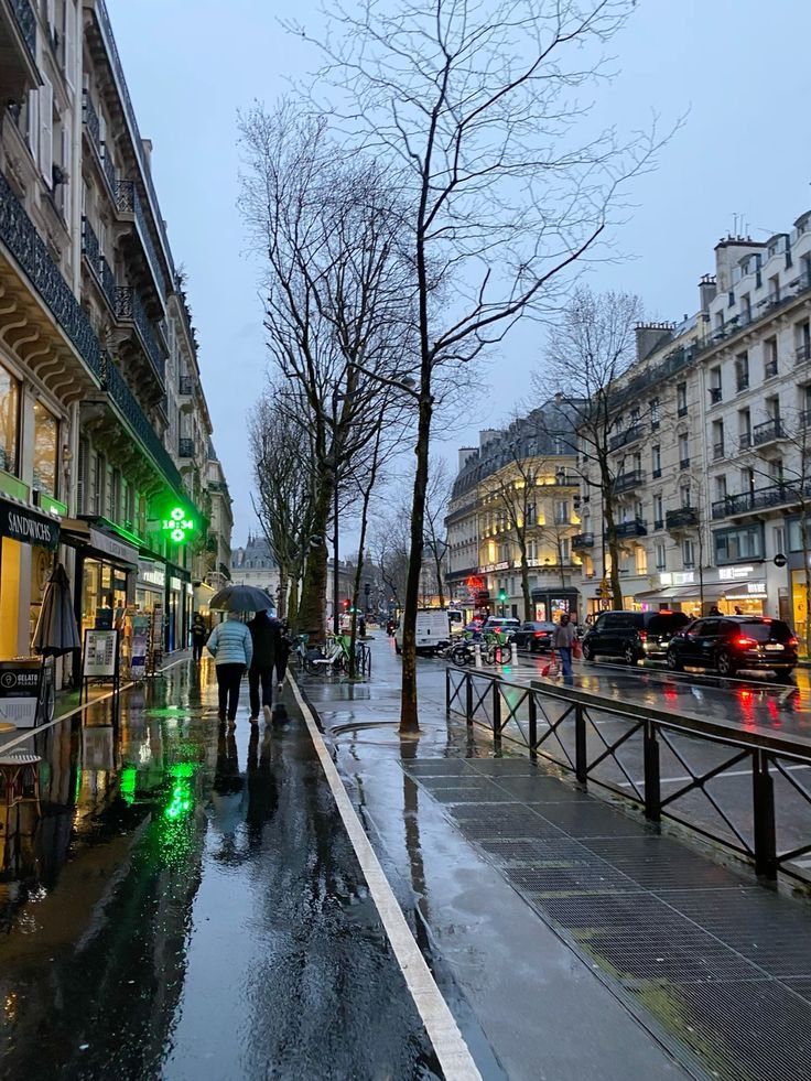 earthviewss1's tweet photo. Rainy day in Paris, France 🇫🇷 https://t.co/8q53C7lEmO