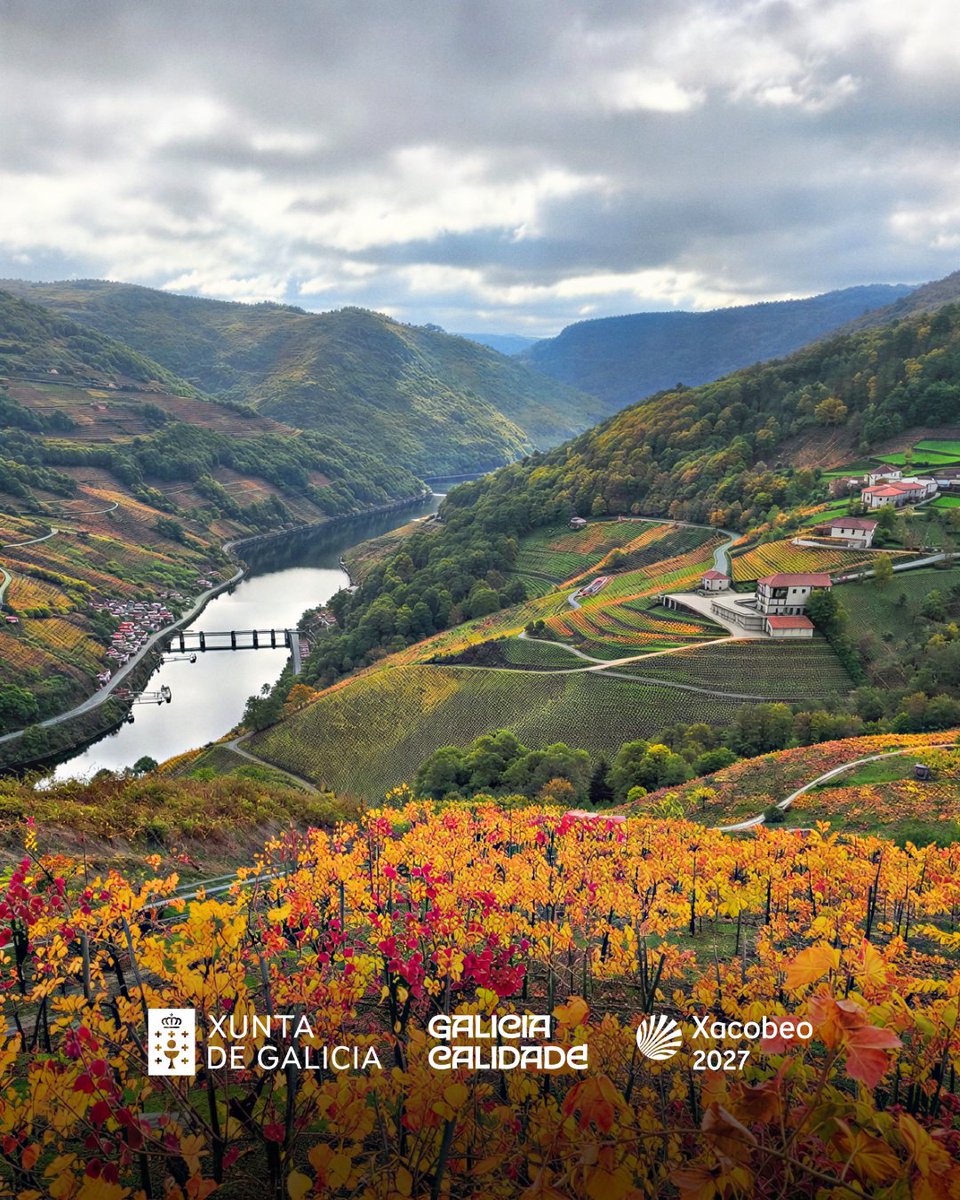 Turgalicia's tweet photo. 🍁 Chega o outono e Galicia cambia de cor. Hoxe convidámoste a coñecer os bosques que converten a nosa terra nun espectáculo visual.

Máis información en https://t.co/9DZyhAsvFe

🍁 Llega el otoño y Galicia cambia de color. Hoy te invitamos a conocer los bosques que convierten a nuestra tierra en un espectáculo visual.

Más información en https://t.co/9DZyhAsvFe

🍁 Autumn arrives and Galicia changes colour. Today, we invite you to discover the forests that turn our land into a visual spectacle.

More information at https://t.co/9DZyhAsvFe

#Galicia #GaliciaCalidade #Xacobeo2027