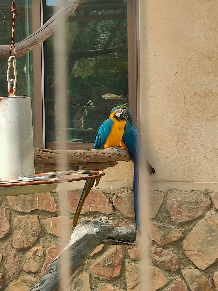 GraceWu78732273's tweet photo. Welcome to the Animal World! #Zoo https://t.co/tuzD23JHgW