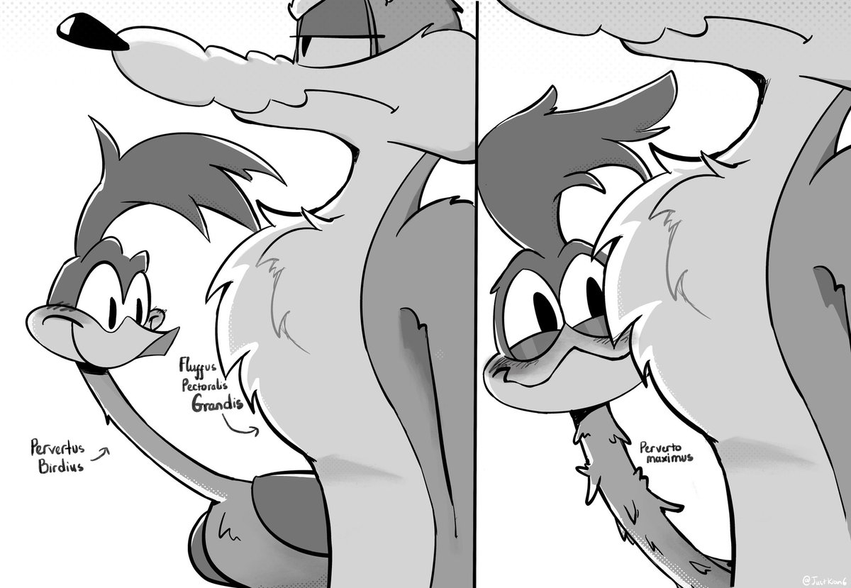 JustKian6's tweet photo. The bird definitely like his friend’s massive chest fur
#wilerunner #wileroad #wileecoyote https://t.co/4MpH7Zn6Sv