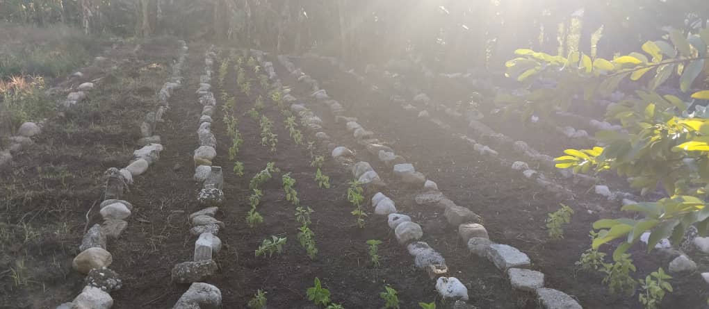 Rafaelvt95's tweet photo. Comienza la cuenta regresiva en vísperas del 45 aniversario del Complejo Educacional @ipvceguantanamo. No se detienen las acciones de mantenimiento, higienización y producción de alimentos. @yoeaberob1 @LienMons @CubaMined @Educa_Gtmo https://t.co/rSeyRtjSs1