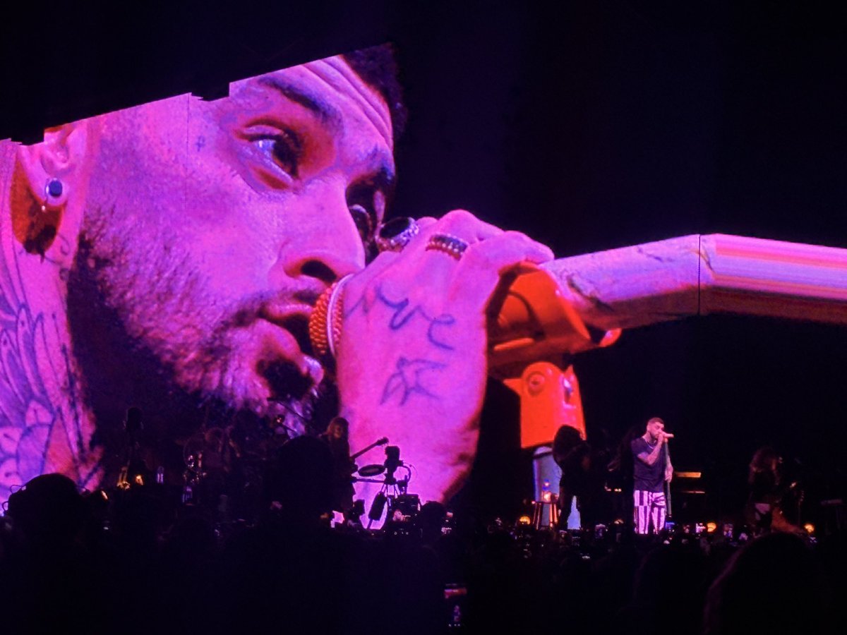 Monii_alvarez's tweet photo. Sueño cumplido de aquella niña directioner🩷🥹💫. 
@zaynmalik @inZAYN #ZaynBuenosAires https://t.co/m2z0EN8VU9