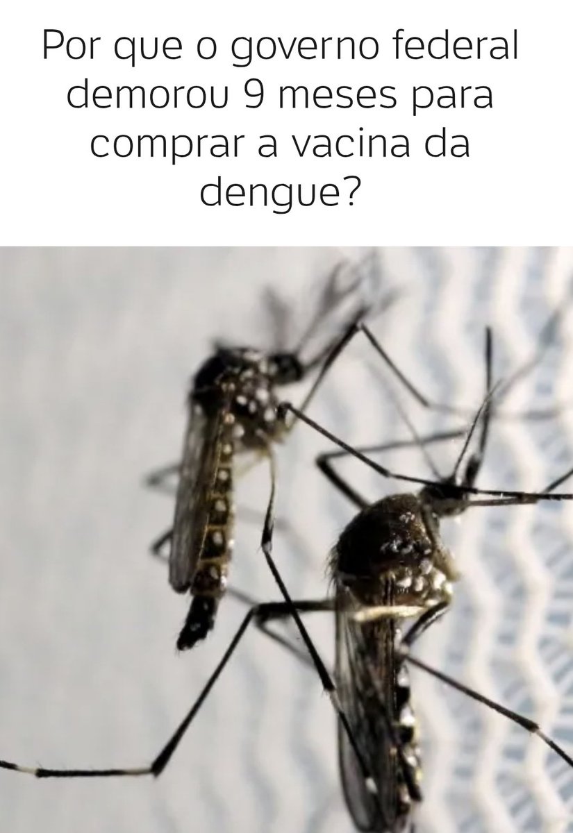 tiillox's tweet photo. @luzesquecida A dengue matou mas que a covid no governo lula. https://t.co/Pz3ifZf51W