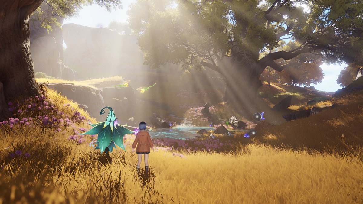 kamichi_aniimo's tweet photo. ニイロ高地のここの木漏れ日がとてもきれい☀️🌳
 #アニモ  #aniimo  #アニモSS https://t.co/JNGqNwnxs7