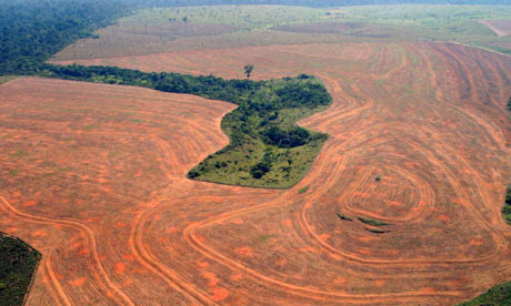 ECOWARRIORSS's tweet photo. Brazil and Bolsonaro have no right to the destroy one of the lungs of the Earth as its destruction will impact us all and every living being on a planet already in melt down 
This is a declaration of war on the entire planet https://t.co/zbhUSPB45s