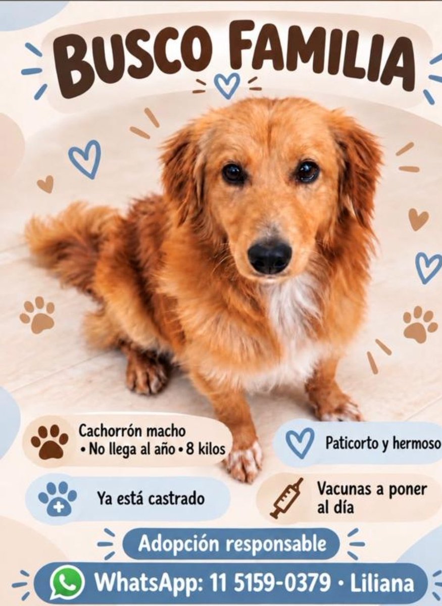 paraellostodo's tweet photo. https://t.co/grh9zibH0Q