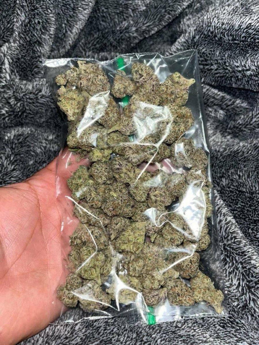 pointshop9092's tweet photo. Throw me 80 for this
Join my telegram group chat on the link below to place that order right now 

#drugtwt #fypシ゚viral #smokewithastoner #usa 
👇👇👇👇👇👇👇👇✅🚚

https://t.co/P8UwqKIriY

https://t.co/P8UwqKIriY https://t.co/j2fe3ra5NM