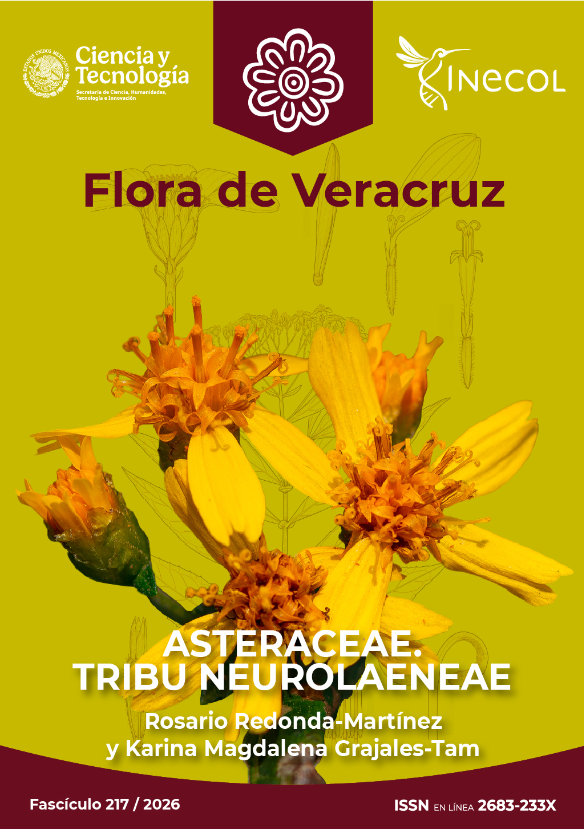 InecolB's tweet photo. La #tribu #Neurolaeneae (#Asteraceae) incluye seis géneros y ca. 179 especies #neotropicales, en #México hay cinco géneros y 28 especies, mientras que en Veracruz se encuentran tres géneros y diez especies. Fascículo de la #FloradeVeracruz https://t.co/cLGAWZx5df https://t.co/HyXbhnoDHm