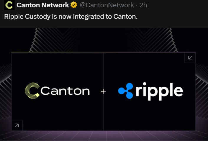 ChadSteingraber's tweet photo. Right before the DTCC launches.

Funny how things work out, huh? 😉 https://t.co/Mjwb6mJHsp