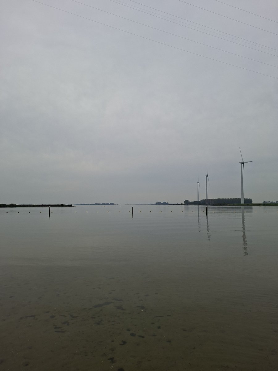 3littlebrdz's tweet photo. Nog steeds verweesd over de juiste plek om te #zwemmen vanwege de algen, maar ik heb gezwommen. En weer een snoek in het ondiepe zien wegschieten. #openwater https://t.co/gLNUfBWIJL